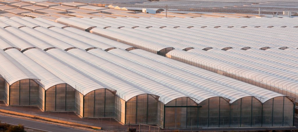 Industrial greenhouse to grow off-season veggies